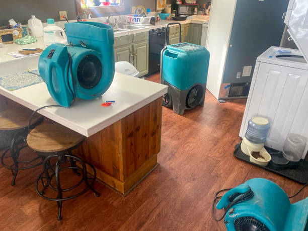 Best Water damage contractors near me  in East Ridge, TN