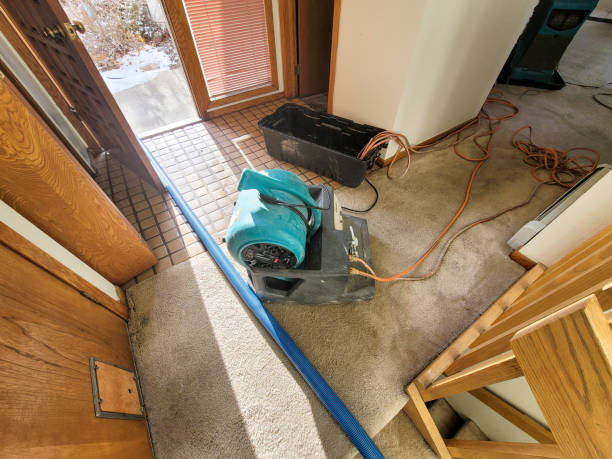 Best Local water damage restoration  in East Ridge, TN
